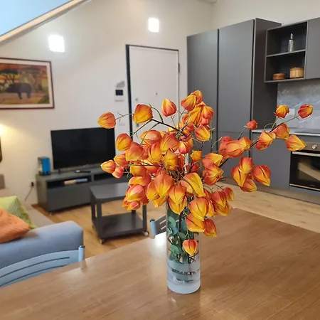 Apartamento Liberty Domus Vic *